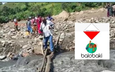 Un ministre congolais est tombé en traversant un pont ? Non, il s’agit plutôt d’un journaliste