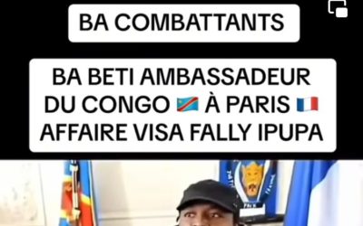 Cette vidéo de l’attaque de l’ambassadeur de la RDC en France date de 2015 et n’a rien à voir avec Fally Ipupa