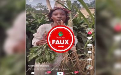 Carburant, huile de palme, feuilles de manioc et jus de canne : des remèdes non prouvés contre le Mpox