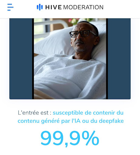 Capture d’écran du résultat de vérification sur Hive modération.