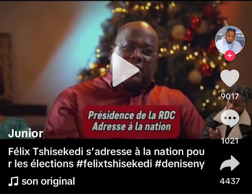Capture d’écran de la vidéo que nous vérifions prise par Balobaki le 29 juillet 2025 ©️Tiktok
