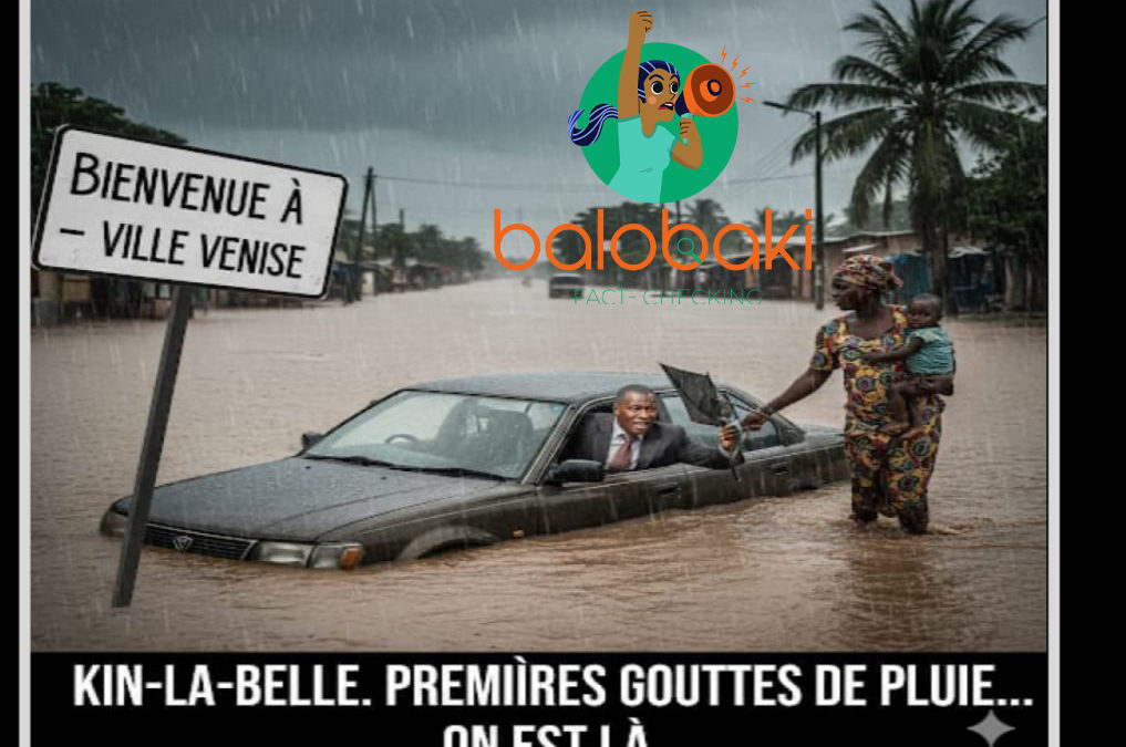 La perception des problèmes climatiques en RDC : entre méfiance et scepticisme