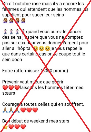 Capture d’écran d’un commentaire d’un internaute prise par Balobaki Check