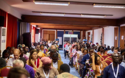 En Afrique francophone, l’arbre du fact-checking qui cache mal la forêt du debunking 