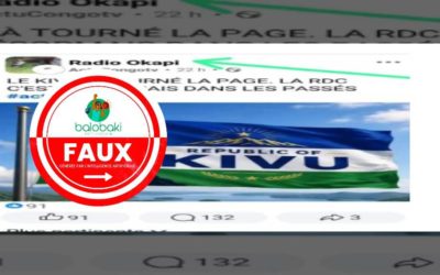 Une photo créée par l’IA prétend montrer le drapeau intitulé “ Republic of Kivu”