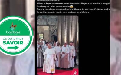 Le pape Léon XIV est-il ‘’  raciste ‘’ ? retour sur une vidéo devenue virale sur les réseaux sociaux